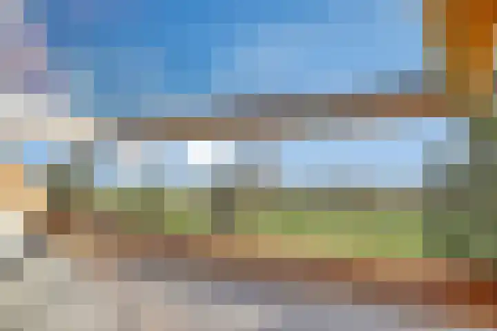Boompjesven 115 Heemskerk thumbnail 24