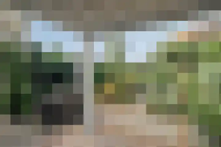 Boompjesven 115 Heemskerk thumbnail 27