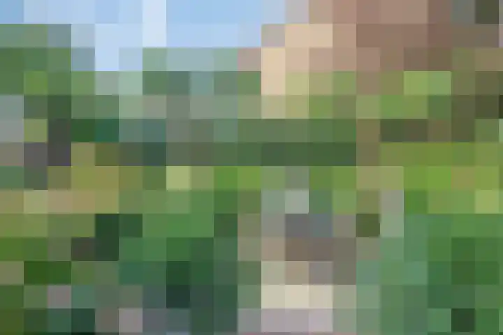Boompjesven 115 Heemskerk thumbnail 28