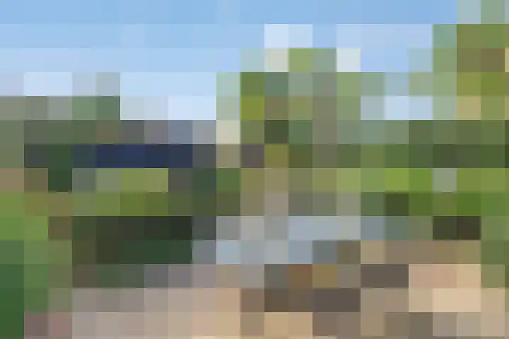 Boompjesven 115 Heemskerk thumbnail 29