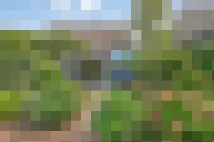 Boompjesven 115 Heemskerk thumbnail 30