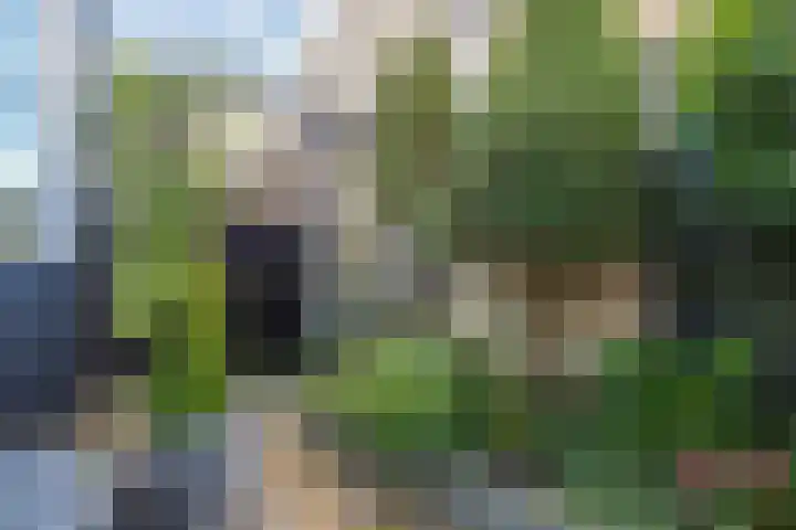 Boompjesven 115 Heemskerk thumbnail 31