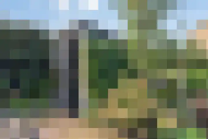 Boompjesven 115 Heemskerk thumbnail 32