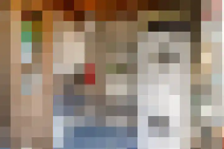 Boompjesven 115 Heemskerk thumbnail 34