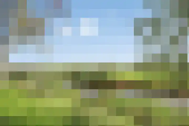 Boompjesven 115 Heemskerk thumbnail 35