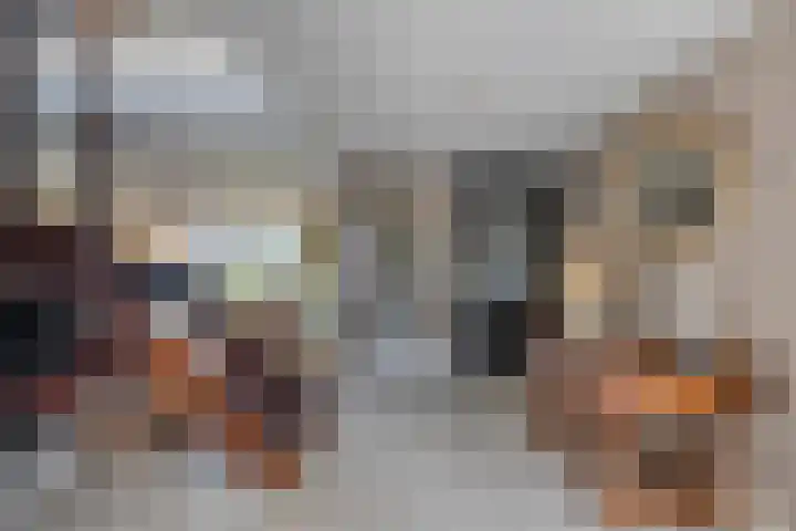 Boompjesven 115 Heemskerk thumbnail 4