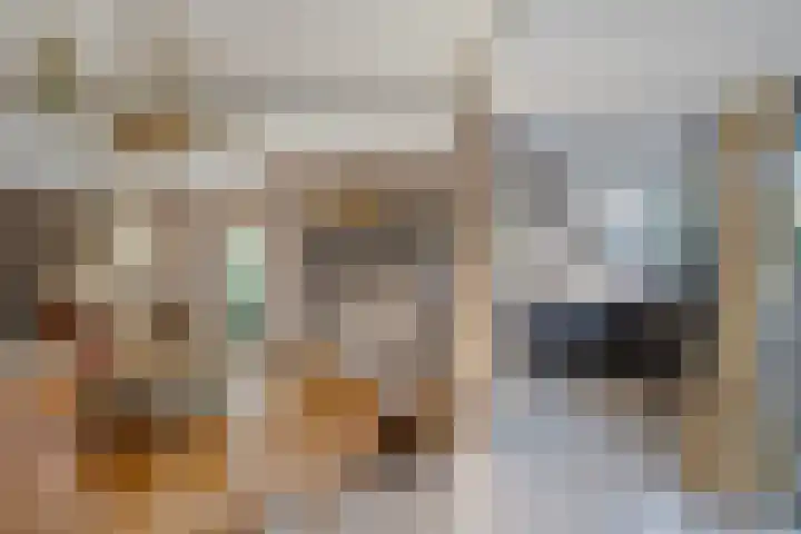 Boompjesven 115 Heemskerk thumbnail 7
