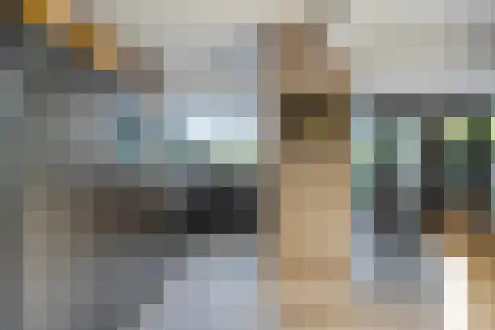 Boompjesven 115 Heemskerk thumbnail 8
