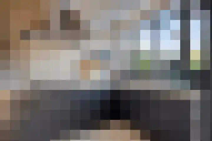 Boompjesven 115 Heemskerk thumbnail 9