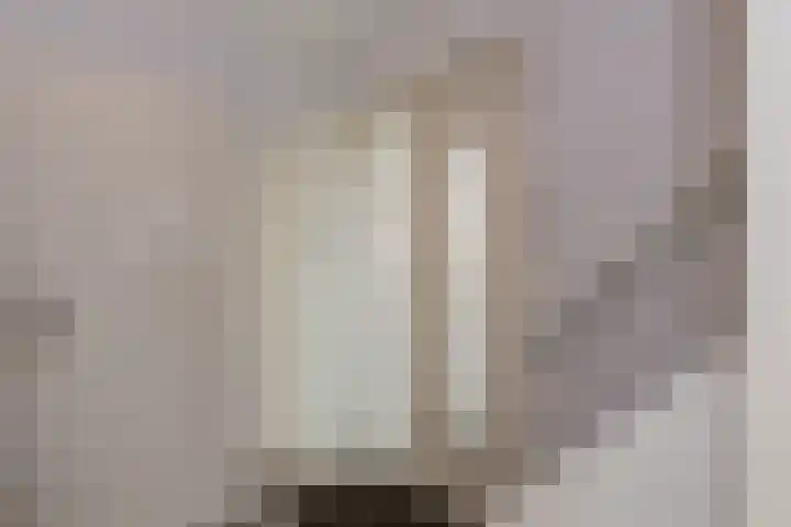 Boompjesven 29 Heemskerk thumbnail 10
