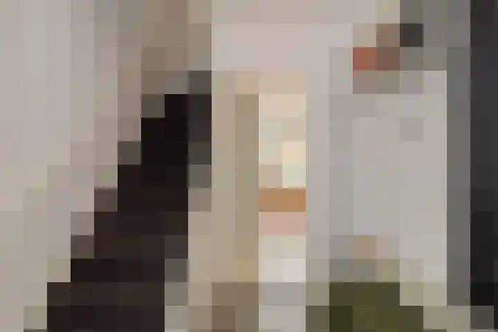 Boompjesven 29 Heemskerk thumbnail 12
