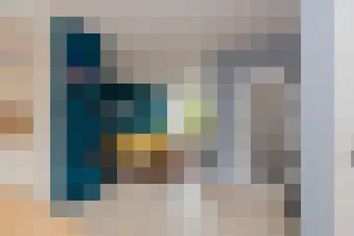 Boompjesven 29 Heemskerk thumbnail 13