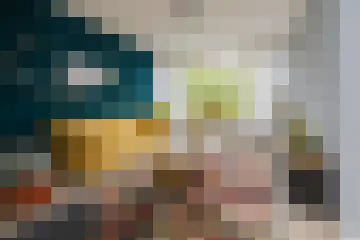 Boompjesven 29 Heemskerk thumbnail 15