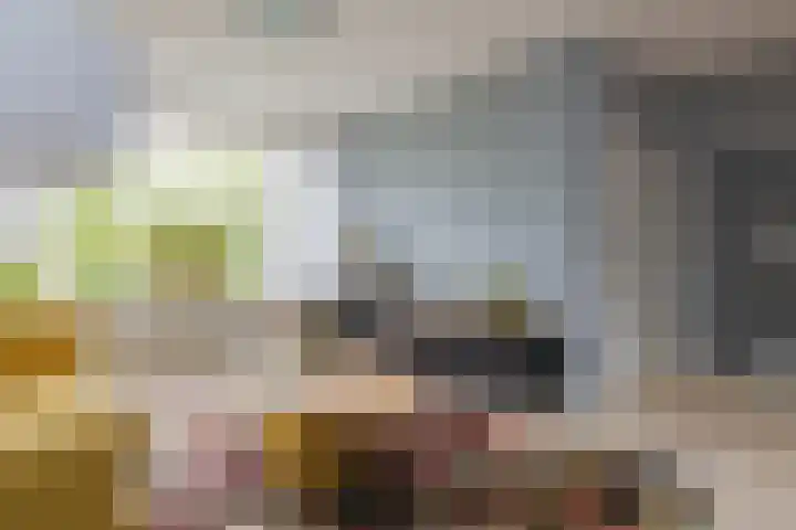 Boompjesven 29 Heemskerk thumbnail 16