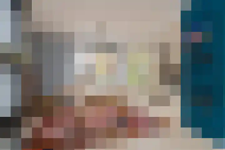 Boompjesven 29 Heemskerk thumbnail 19
