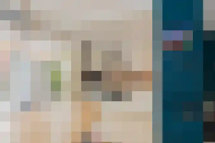 Boompjesven 29 Heemskerk thumbnail 21