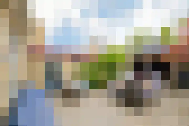 Boompjesven 29 Heemskerk thumbnail 25