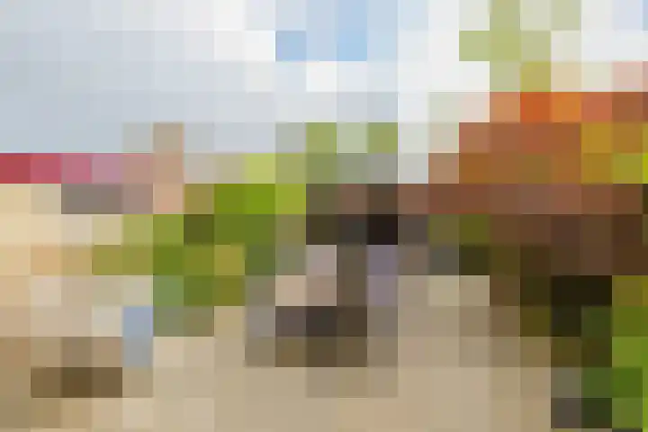 Boompjesven 29 Heemskerk thumbnail 26
