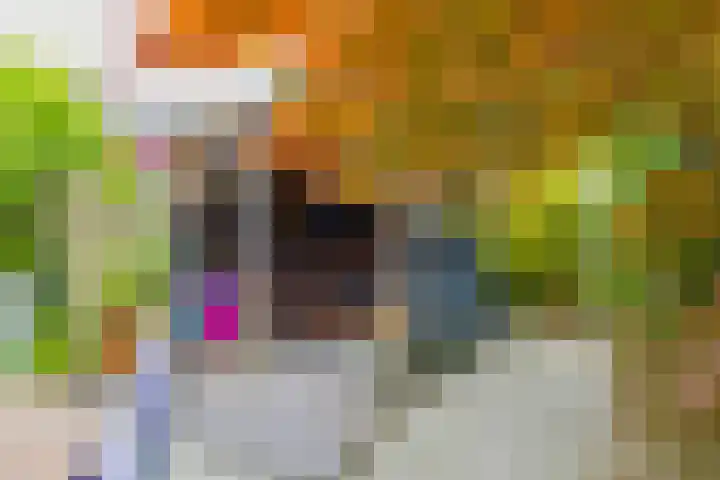 Boompjesven 29 Heemskerk thumbnail 27