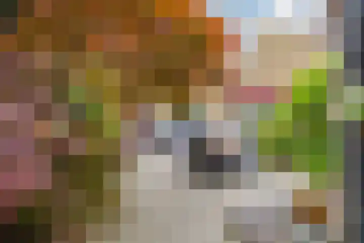 Boompjesven 29 Heemskerk thumbnail 28