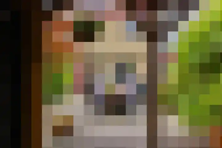 Boompjesven 29 Heemskerk thumbnail 30