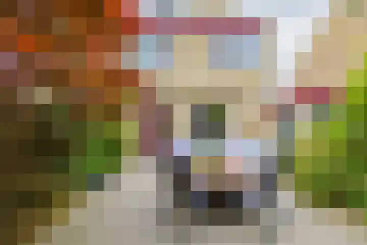 Boompjesven 29 Heemskerk thumbnail 31