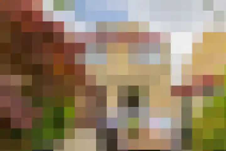 Boompjesven 29 Heemskerk thumbnail 32