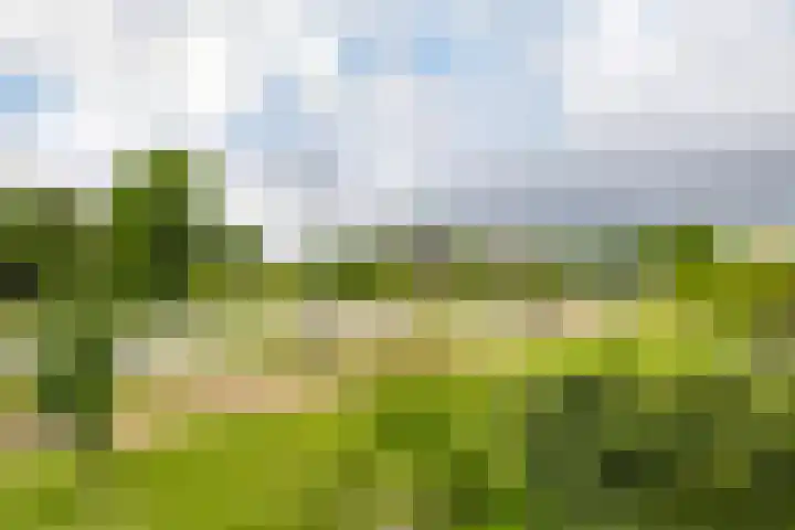Boompjesven 29 Heemskerk thumbnail 35