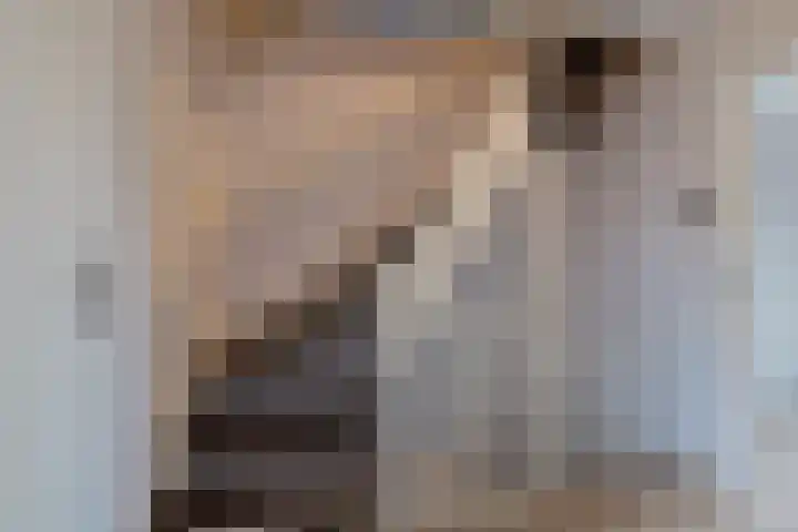 Boompjesven 29 Heemskerk thumbnail 36