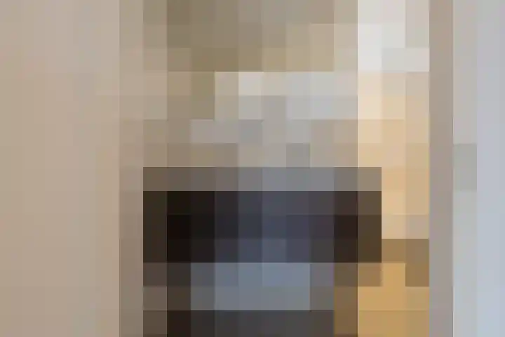 Boompjesven 29 Heemskerk thumbnail 37