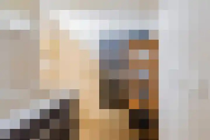 Boompjesven 29 Heemskerk thumbnail 38