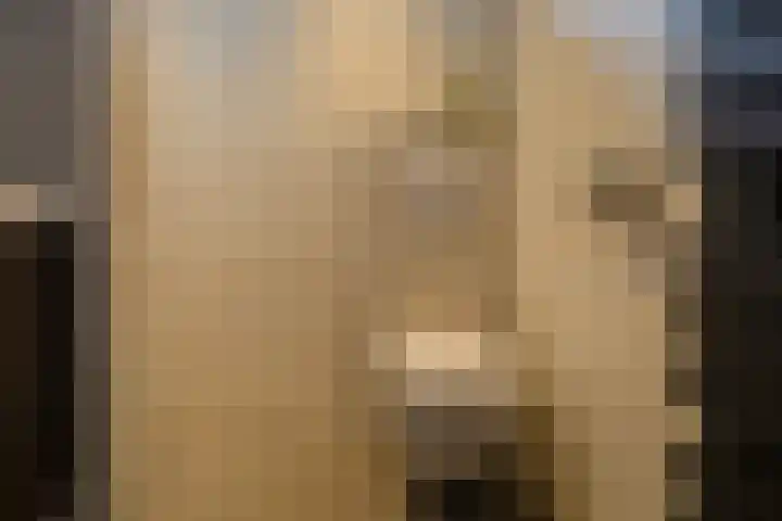 Boompjesven 29 Heemskerk thumbnail 39