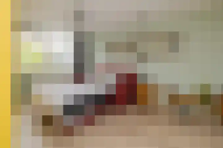 Boompjesven 29 Heemskerk thumbnail 42