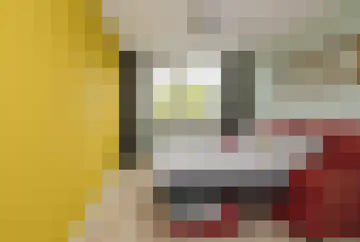 Boompjesven 29 Heemskerk thumbnail 43