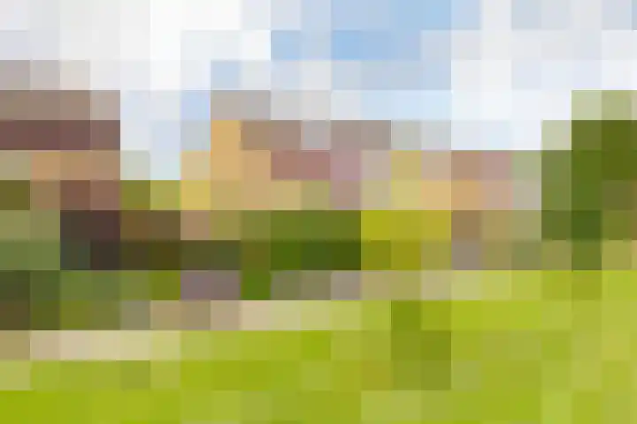 Boompjesven 29 Heemskerk thumbnail 7