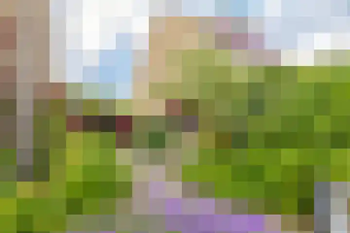 Boompjesven 29 Heemskerk thumbnail 8