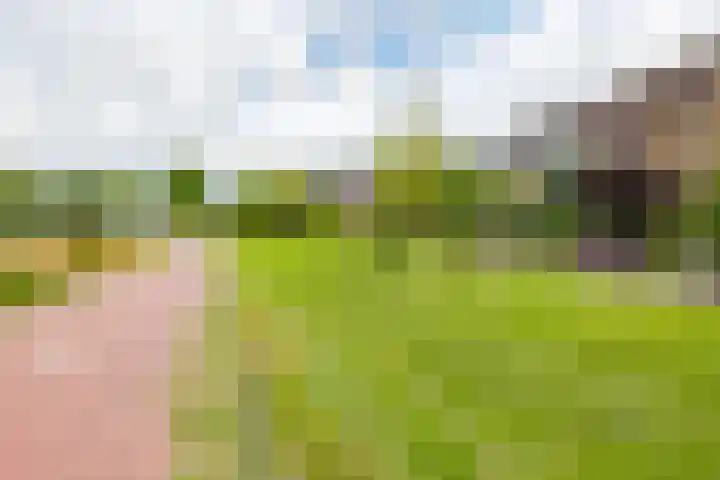Boompjesven 29 Heemskerk thumbnail 9