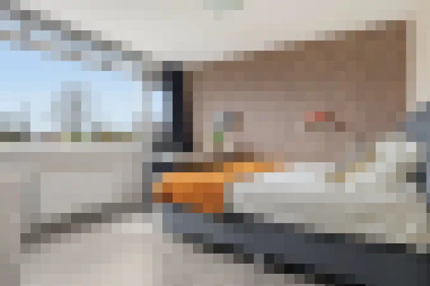 Boompjesven 35 Heemskerk thumbnail 25
