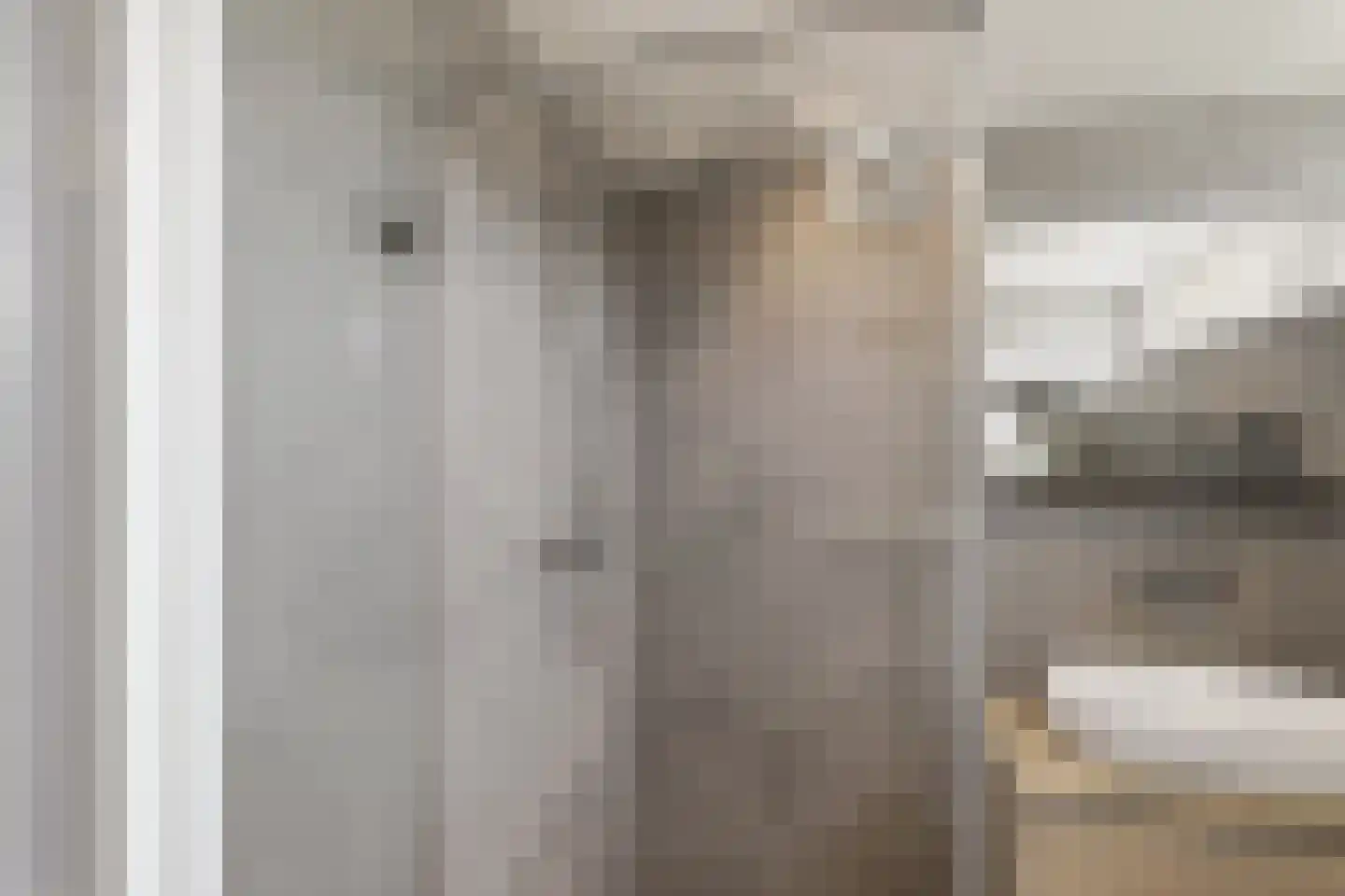 Boompjesven 35 Heemskerk thumbnail 31