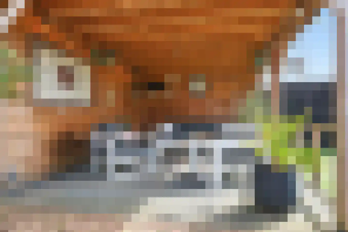 Boompjesven 35 Heemskerk thumbnail 42