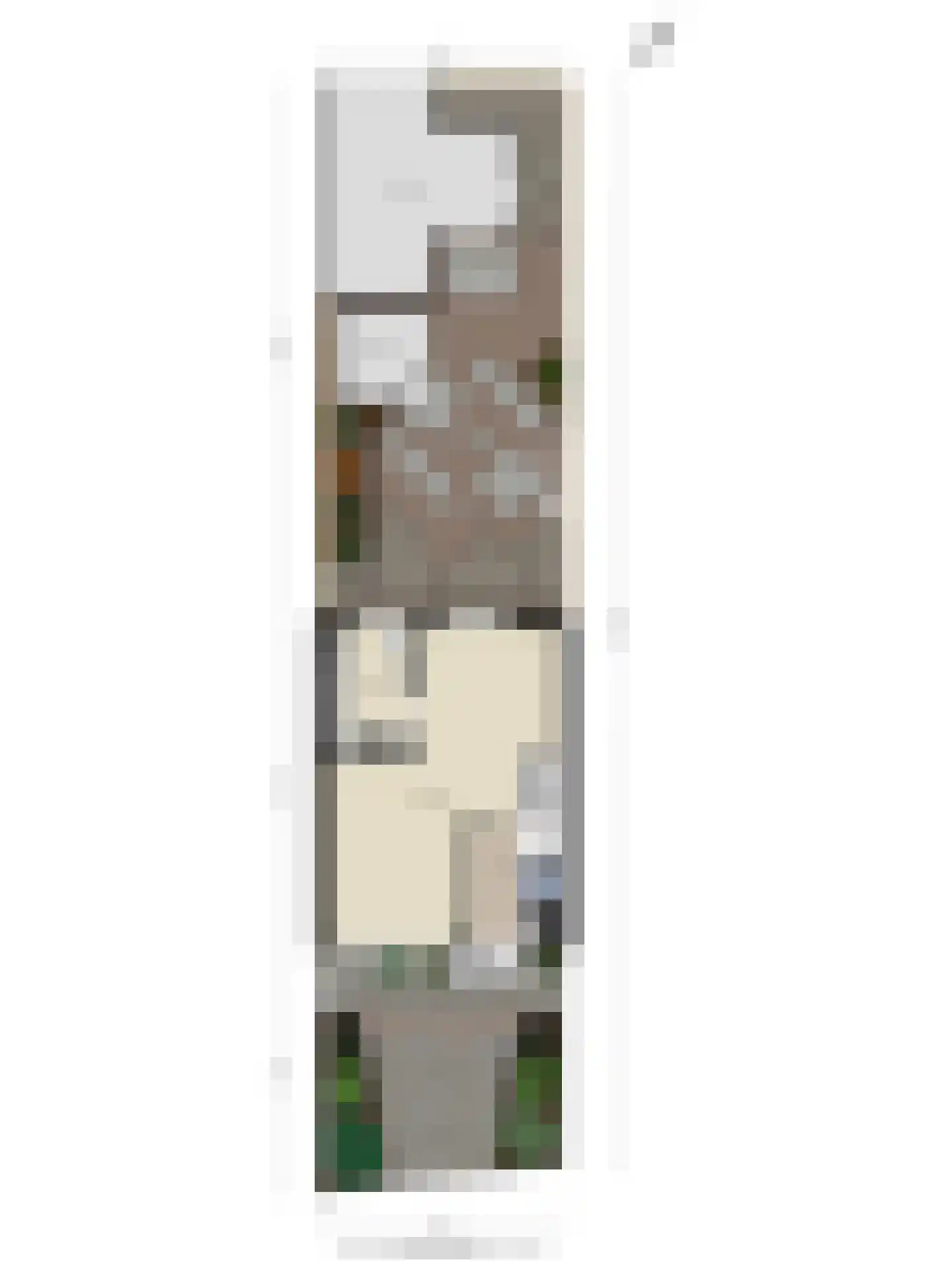 Boompjesven 39 Heemskerk thumbnail 32