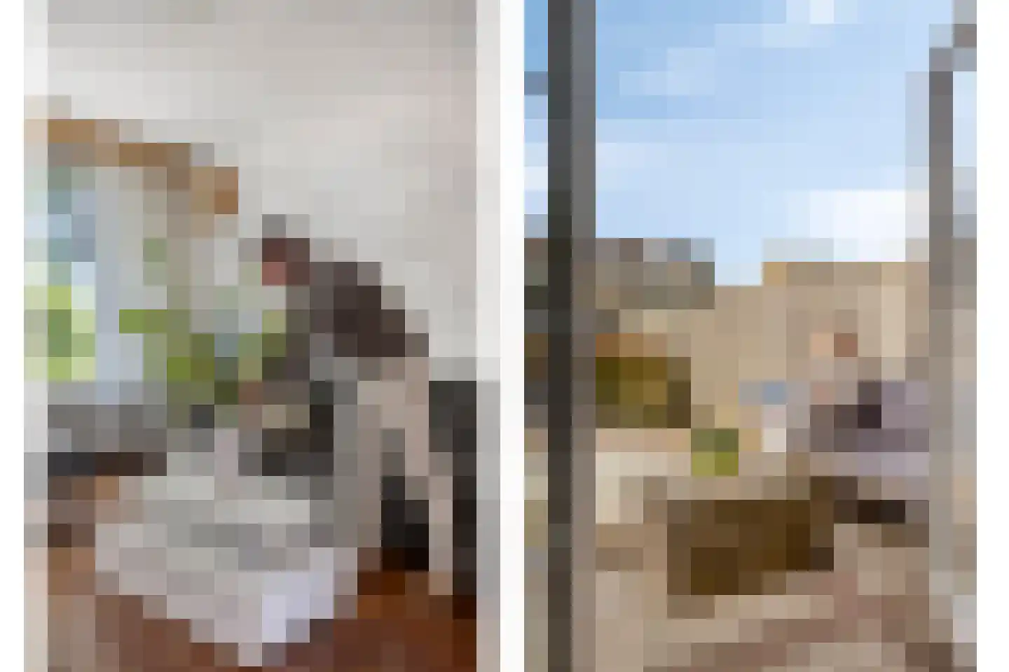 Boompjesven 39 Heemskerk thumbnail 5