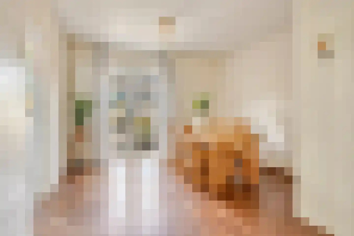 Boompjesven 39 Heemskerk thumbnail 7