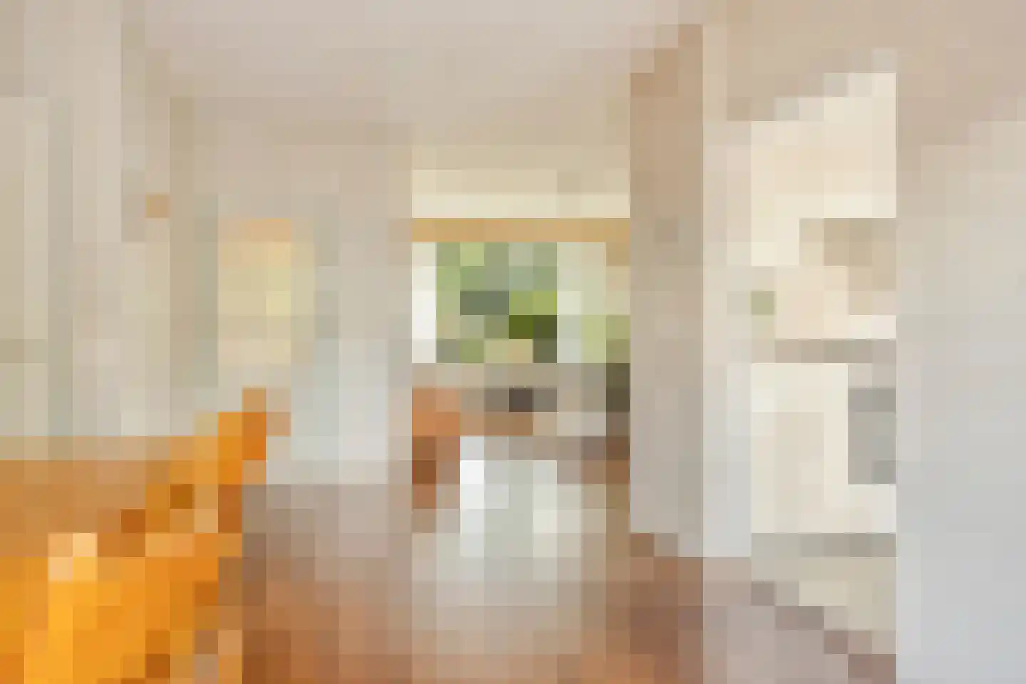 Boompjesven 39 Heemskerk thumbnail 8