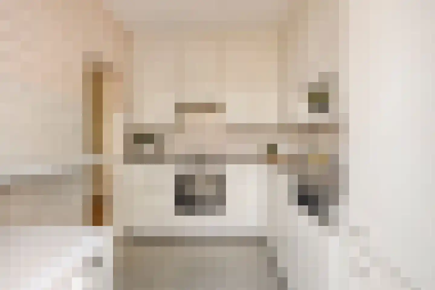 Boompjesven 39 Heemskerk thumbnail 9
