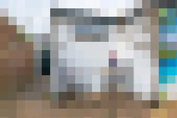Boompjesven 55 Heemskerk thumbnail 12