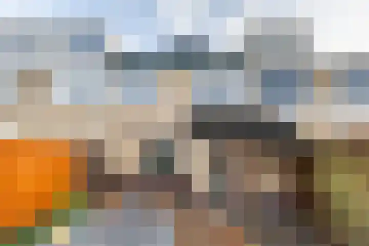 Boompjesven 55 Heemskerk thumbnail 14