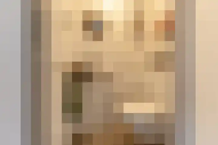 Boompjesven 55 Heemskerk thumbnail 15