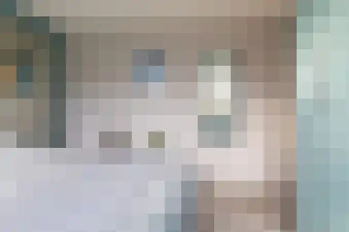 Boompjesven 55 Heemskerk thumbnail 18