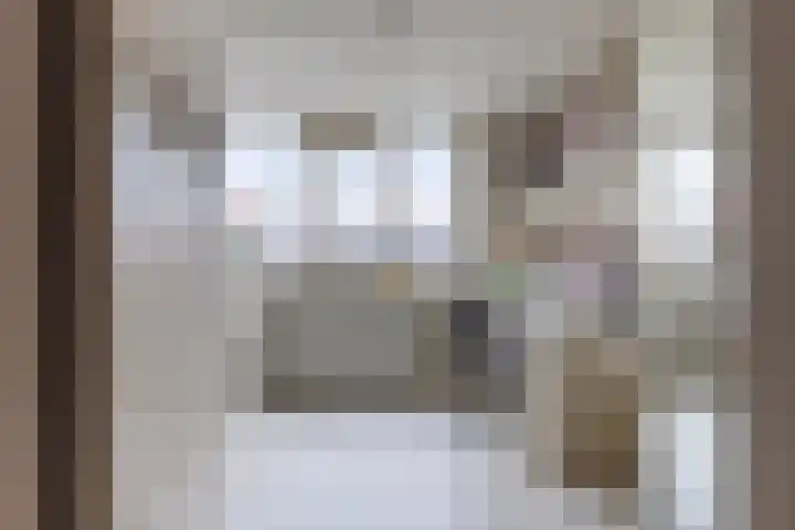 Boompjesven 55 Heemskerk thumbnail 19